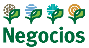 Logo + Propósito Negocios (2)